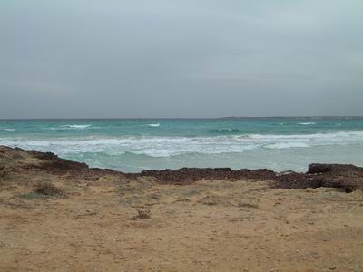 DSCF0052.JPG